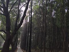 -同里国家湿地公园