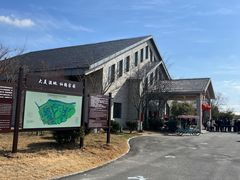-盐城丹顶鹤湿地生态旅游区