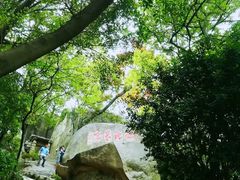 -云洞岩风景区