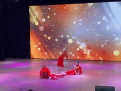 -美育儿童音乐舞蹈国际机构(浦东分校)