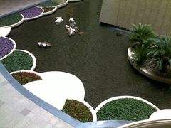 -上海波特曼丽思卡尔顿酒店