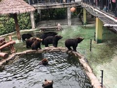 -深圳野生动物园