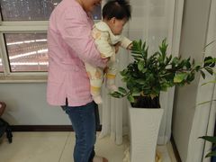 -金贝儿月嫂(高新尚品国际店)