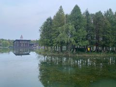 -阳澄湖费尔蒙酒店颐丰阁中餐厅(马鞍山西路店)
