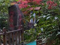 -黄山温泉国际旅游度假区
