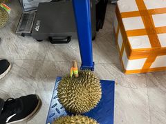 -海吉星市场