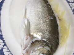 -西湖春天•老字号杭州菜(百汇店)