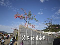 -风云岭森林公园