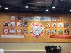 -和它·交个朋友·狗咖猫咖(爱琴海店)