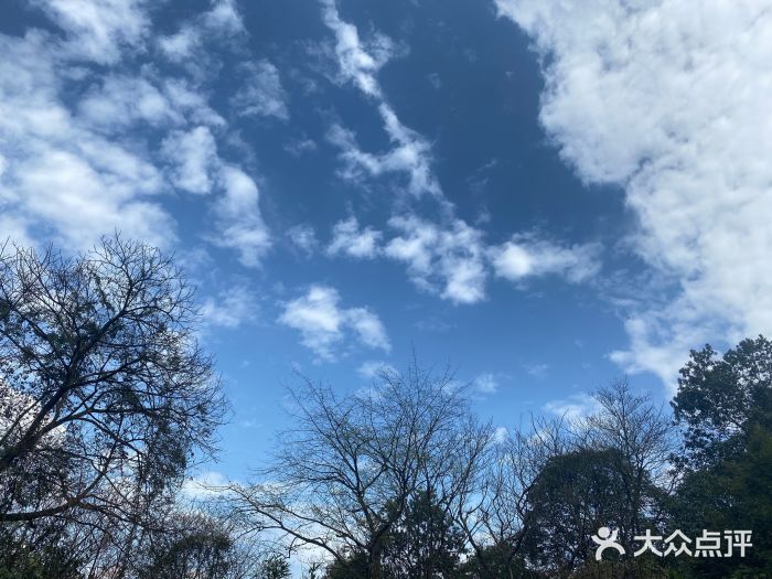 中国大熊猫保护研究中心雅安碧峰峡基地图片