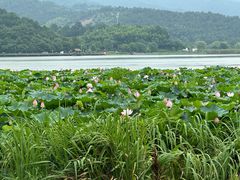 -东钱湖旅游度假区