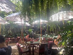 -Fern Forest Cafe