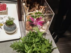 -左庭右院鲜牛肉火锅黑金店(陆家嘴中心店)