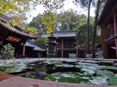 -灵谷景区