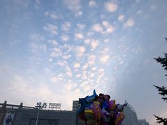 -人民防洪胜利纪念塔