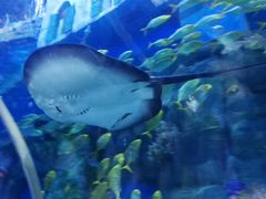 -华夏文旅海洋公园