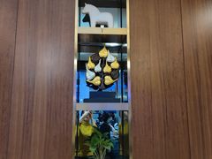 -将太无二·北美传奇寿司(荟聚购物中心西红门店)