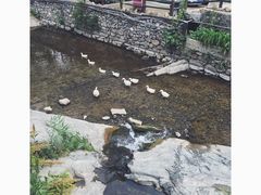 景观位-北京水岸山吧度假村(雁栖镇店)