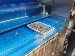 水产区-原始泥炉烤肉(总店)
