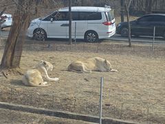 -秦皇岛野生动物园