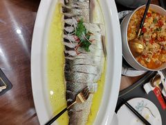 -鲁宴·鲁煨黄河生态大鲤鱼(月坛店)