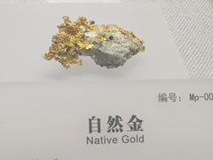 -湖南省地质博物馆