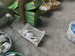 -马陆小张葡萄园农家乐