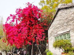 -东莞市可园博物馆