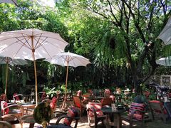 -Fern Forest Cafe