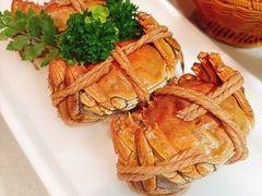 -花小蟹·无锡菜·大闸蟹文化主题餐厅·评弹表演(南长街店)