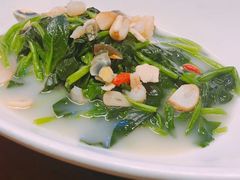 上汤菠菜-新白鹿餐厅(西湖银泰店)