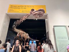 -美国自然历史博物馆