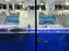 -华夏文旅海洋公园