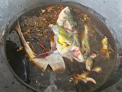 -小赖鱼馆