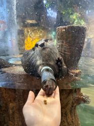 -Zoolung Zoolung动物主题公园(海信广场店)
