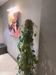 -永琪护肤造型