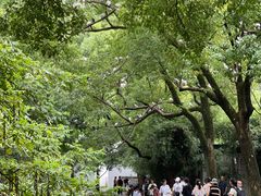-西园戒幢律寺