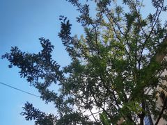 -云南民族大观园