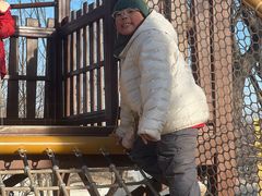 -朝阳公园游乐园