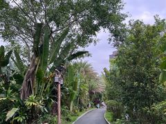 -碧桂园润杨溪谷温泉酒店