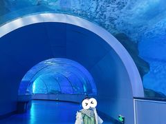-泉城欧乐堡海洋极地世界