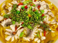 -三猫黑鱼花(南大店)