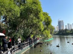 -五缘湾湿地公园