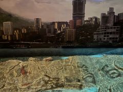 -白鹤梁水下博物馆