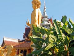 -西双版纳总佛寺