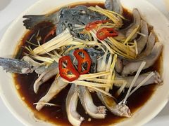 -煲来饱去冷水鱼