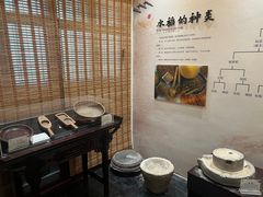 -苏州太湖国家湿地公园