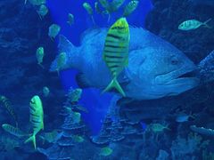 -成都浩海立方海洋公园