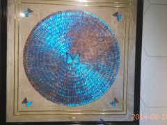 -上海昆虫博物馆