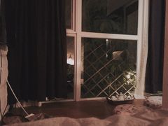 6号花园客栈-6号花园别墅酒店